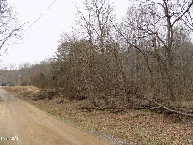 185 Lovin Rd, House other with 4 bedrooms, 2 bathrooms and null parking in Mooresburg TN | Image 63