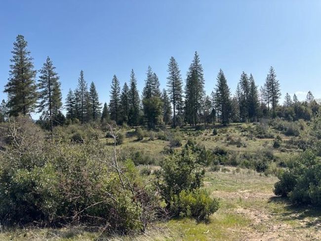 19292 Shawnee Trl, Home with 0 bedrooms, 0 bathrooms and null parking in Mokelumne Hill CA | Image 44