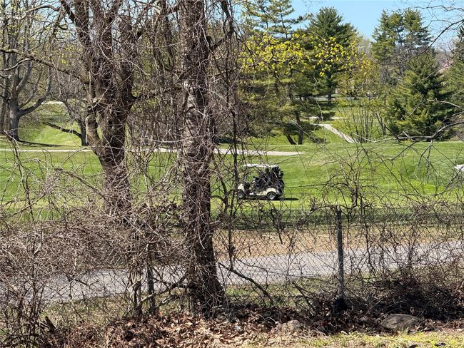 View of Gulf course cart | Image 24