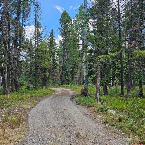 764 Deer Trail Rd, Cimarron, CO, 81220-9577 | Card Image