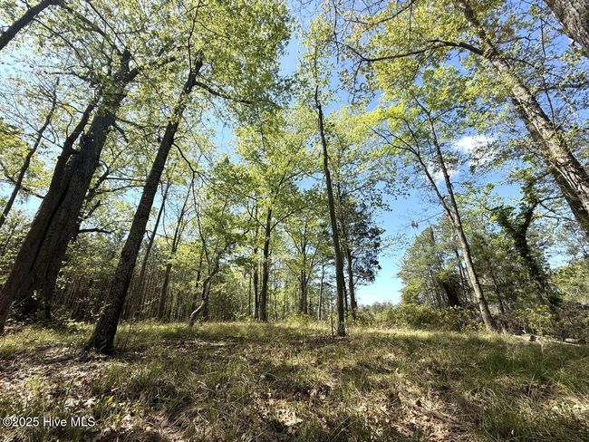 48 Sunset Point Rd, Home with 0 bedrooms, 0 bathrooms and null parking in Belhaven NC | Image 12