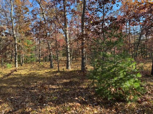 Parcel 9 County Line Road, Free Soil, MI, 49411 | Card Image