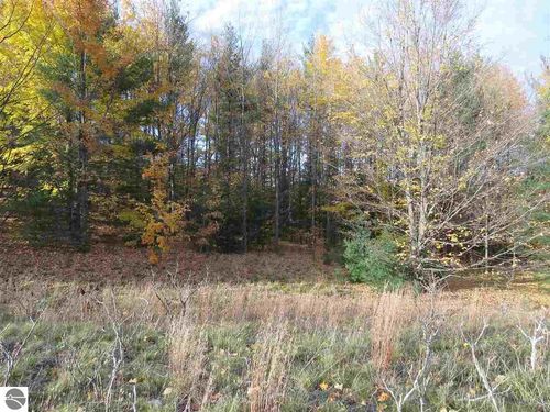 Lot 98 Eden St, Kingsley, MI, 49649 | Card Image
