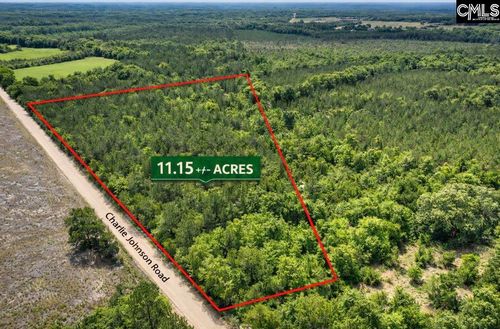 Lot 4 Charlie Johnson Rd, Bethune, SC, 29009 | Card Image