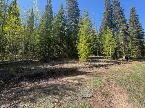 44 Wilderness Rd, Walden, CO, 80430-8002 | Card Image