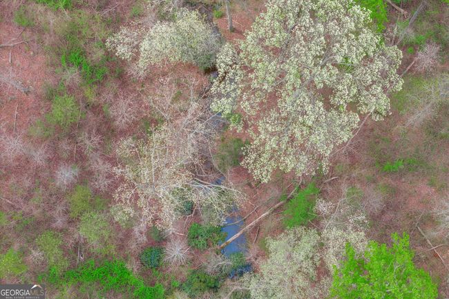 0 Carey Ford Rd, Home with 0 bedrooms, 0 bathrooms and null parking in Danielsville GA | Image 11