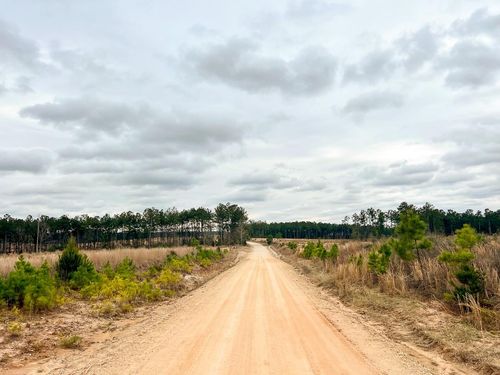 5 Hardin Hideout Rd, Moscow, TX, 75960 | Card Image