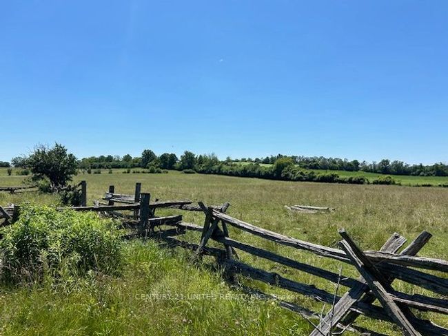 221 County Rd 2, Home with 0 bedrooms, 0 bathrooms and 4 parking in Bailieboro ON | Image 4