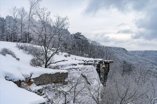 110 Falls Ln, Spencer, TN, 38585 | Card Image