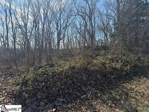 206 Eagle Rock Rd, Landrum, SC, 29356-3421 | Card Image