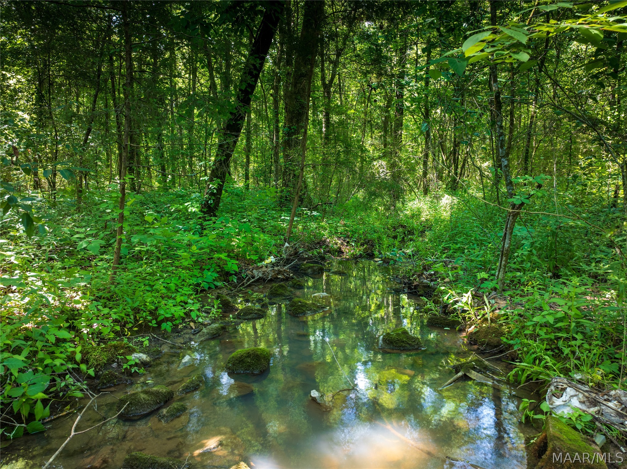 Land in Greensboro 2