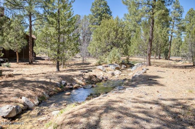 Stream and pond 1 | Image 22