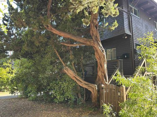 a-2638 Warring St, Berkeley, CA, 94704-3469 | Card Image