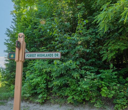 Lot 165 Forest Highlands, Kearney Township, MI, 49615 | Card Image