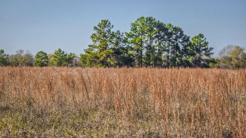 1 Podraza Road, New Waverly, TX, 77358 | Card Image