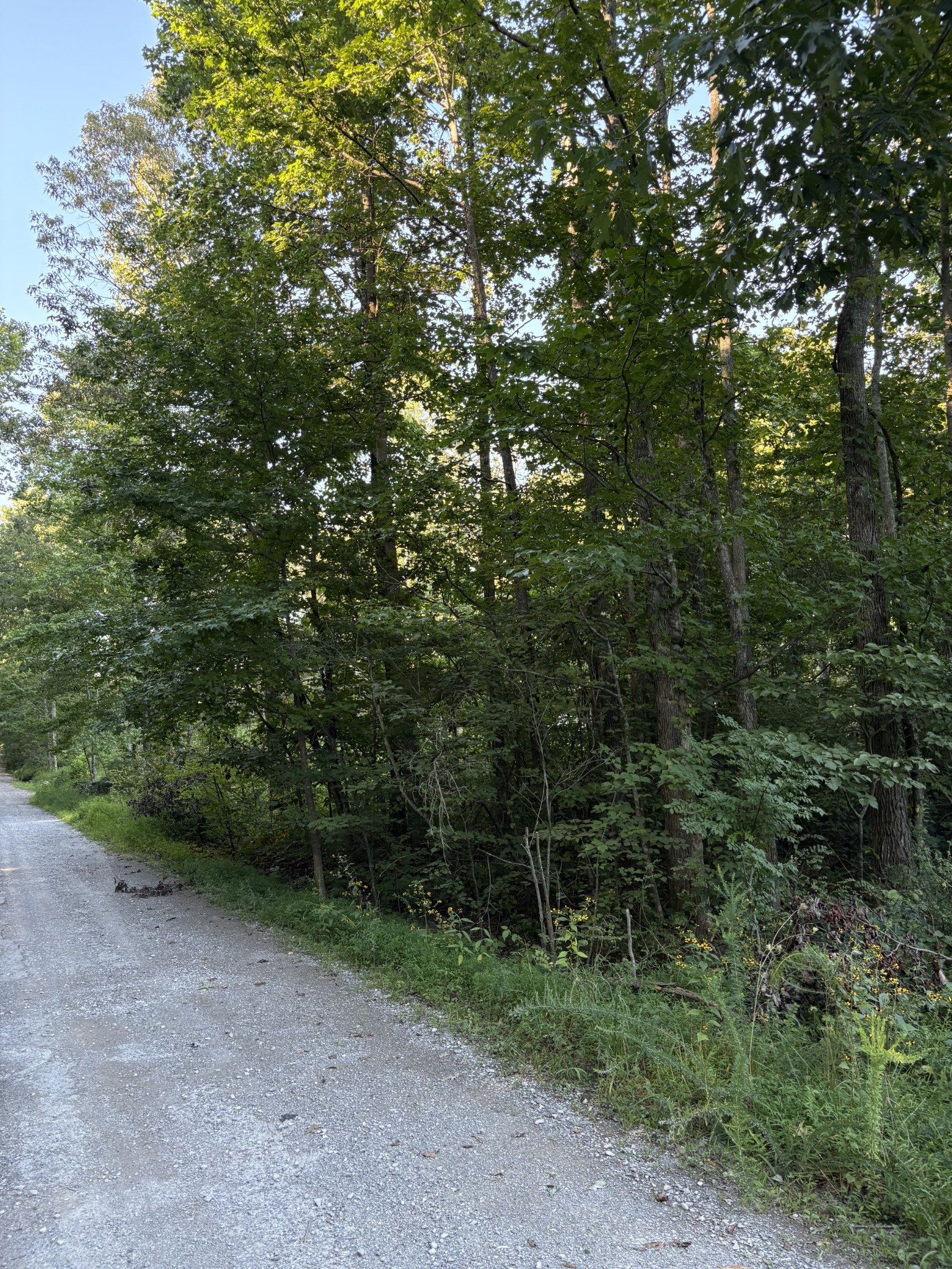 Land in Beechgrove 3