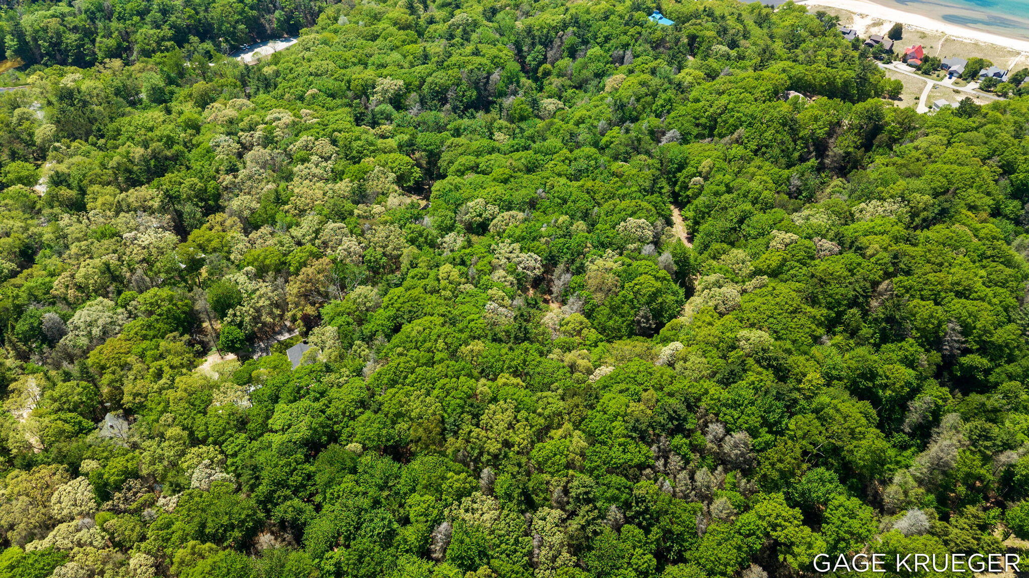 Land in Shelby 4
