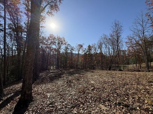 Lot 24 Crestview Point, Mineral Bluff, GA, 30559 | Card Image