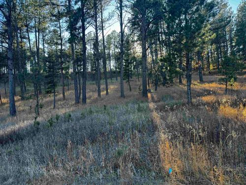 Lot 2 Lechner Ln, Custer, SD, 57730 | Card Image