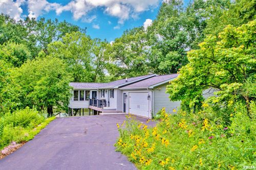 223 N Shore Pl, Dahinda, IL, 61428-9520 | Card Image