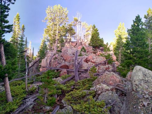 3765 Forest Rd, Red Feather Lakes, CO, 80545 | Card Image