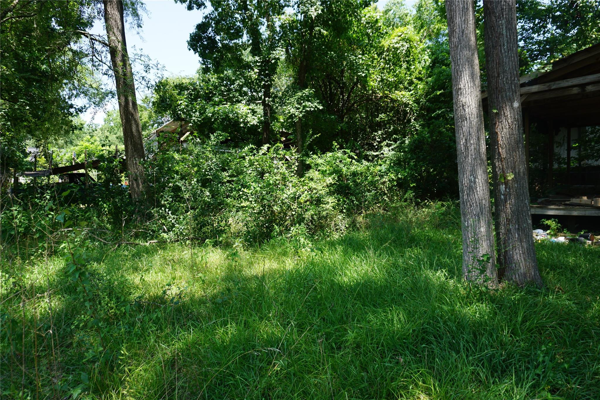 Land in Willis 3