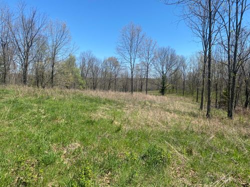 000 Joshua Tree Dr, Chestnutridge, MO, 65630 | Card Image