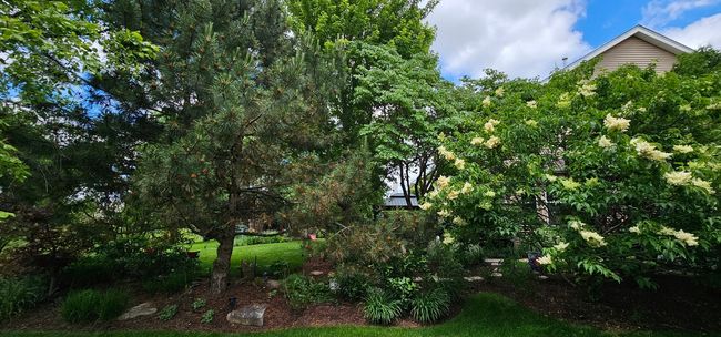 12941 Grande Poplar Cir, House other with 4 bedrooms, 3 bathrooms and 6 parking in Plainfield IL | Image 60