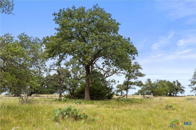 3049 Reservation Rd, Home with 0 bedrooms, 0 bathrooms and null parking in Harper TX | Image 27