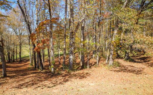 Lot 5 Hinton Center Rd, Hayesville, NC, 28904 | Card Image