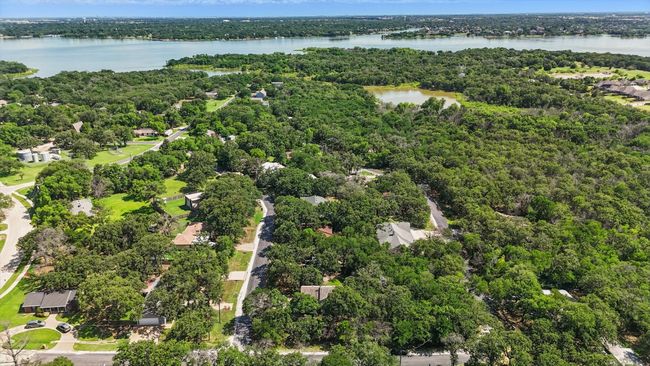 Aerial view of a large body of water and a forest | Image 35