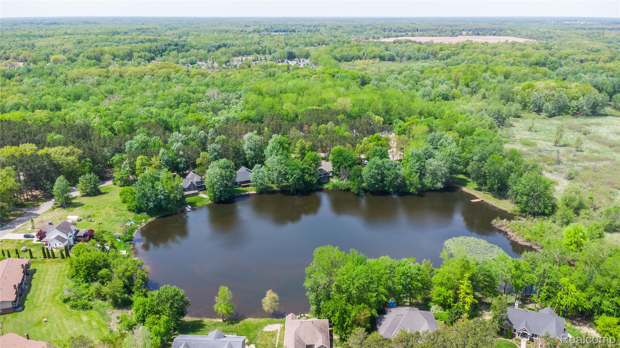 Land in Argentine Township 4