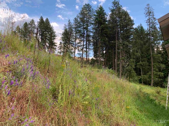624 Clearcreek Rd, House other with 4 bedrooms, 2 bathrooms and null parking in Kooskia ID | Image 35