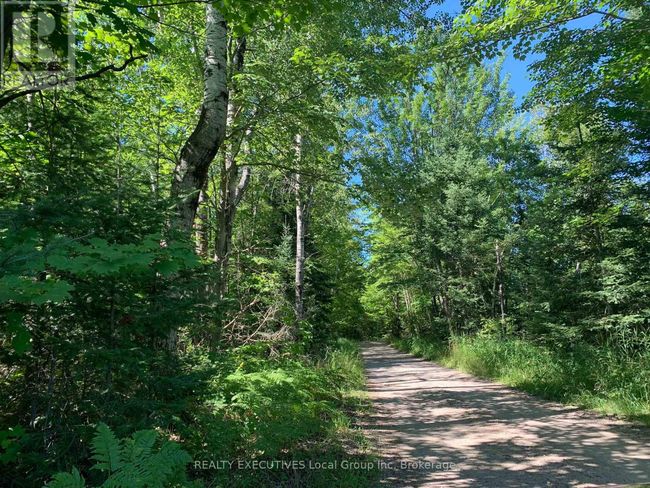 114 Memory Lane, Home with 0 bedrooms, 0 bathrooms and null parking in Chisholm ON | Image 14