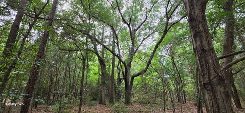 00 Cooper Lane, Summerton, SC, 29148 | Card Image