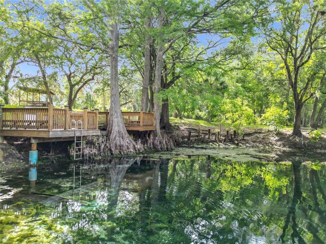 Suwanee River Springs | Image 55