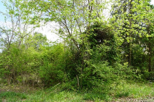 0 Marshall St, Home with 0 bedrooms, 0 bathrooms and null parking in Brookneal VA | Image 6