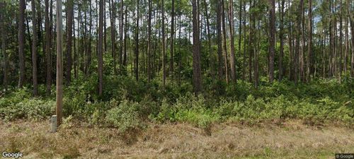 137 E Boundary Dr, Georgetown, FL, 32139-2803 | Card Image