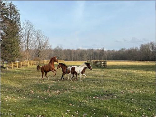 9300 N Main St, Windham, OH, 44288-1054 | Card Image