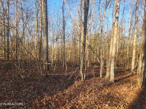 9047 Weketa Dr, Crossville, TN, 38572-3536 | Card Image