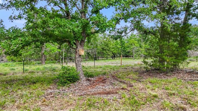 Bird houses throughout property for wildlife exemption. Lots of wonderful wildlife on property. | Image 9