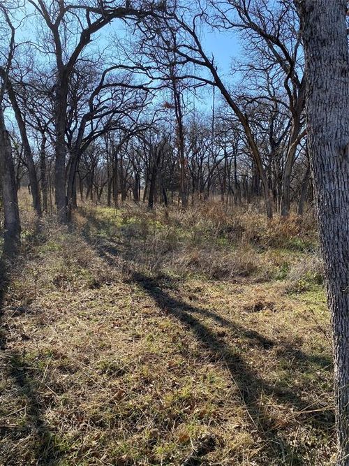 115 Banjo, Alvord, TX, 76225 | Card Image