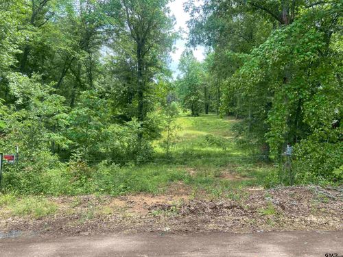 17407 County Road 4247 W, Reklaw, TX, 75784-2304 | Card Image