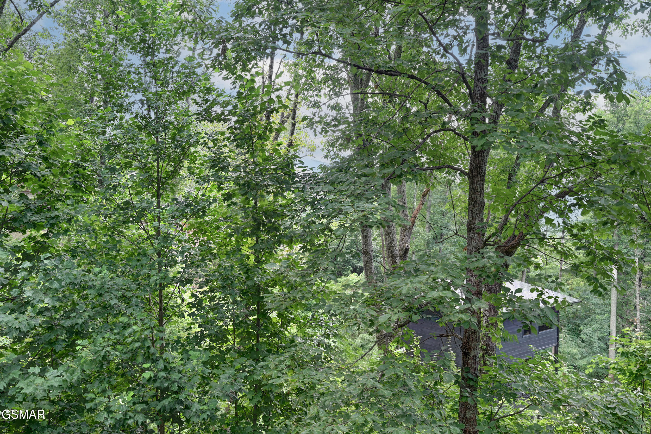Residential in Gatlinburg 2