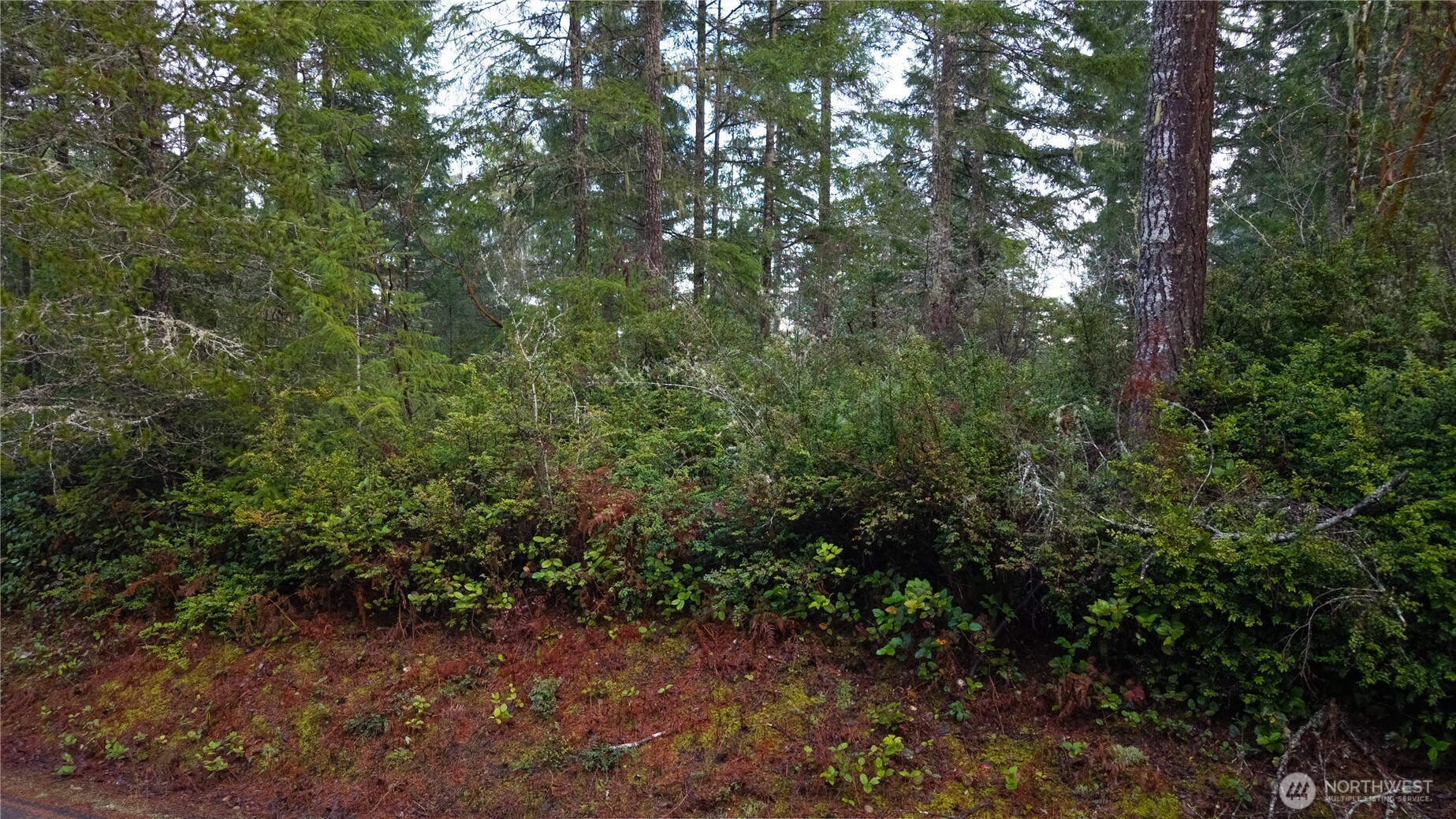 Land in Gig Harbor 4