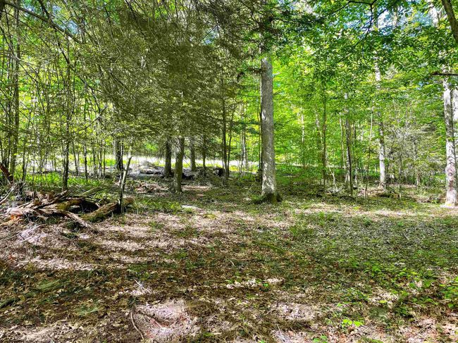Lot 93 Laurel Loop   Whitewater Preserve Loop, Home with 0 bedrooms, 0 bathrooms and null parking in Bruceton Mills WV | Image 10