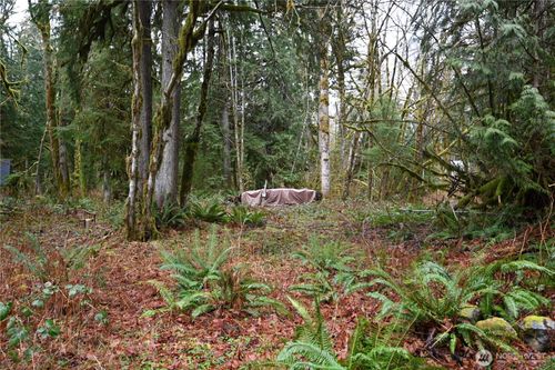 63645 Ne 190th St, Baring, WA, 98224 | Card Image