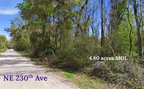 TBD Ne 230th Ave, OLD TOWN, FL, 32680 | Card Image