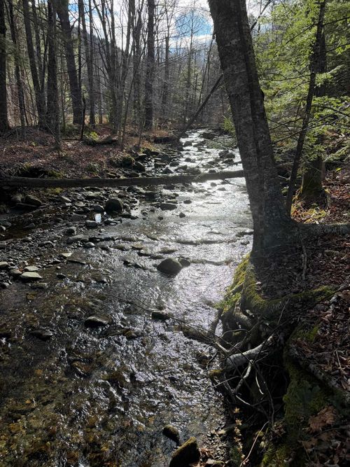 1720 Augur Hole Rd, Brattleboro, VT, 05301 | Card Image