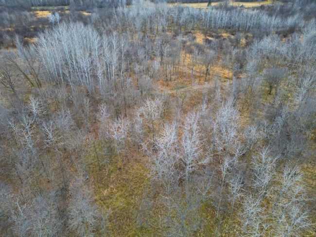 DJI_0400.JPG | Image 45
